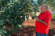 Proverbs About Agriculture and Land