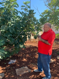 الفصل الأول: جبل عامل – الجغرافيا، التاريخ، والدين (من البدايات حتى العصر الحديث)